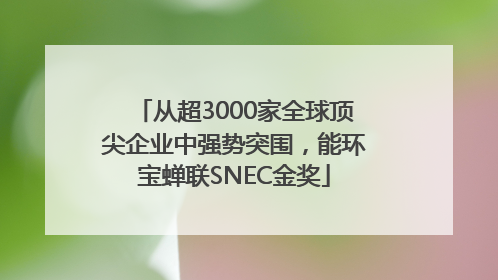 从超3000家全球顶尖企业中强势突围，能环宝蝉联SNEC金奖