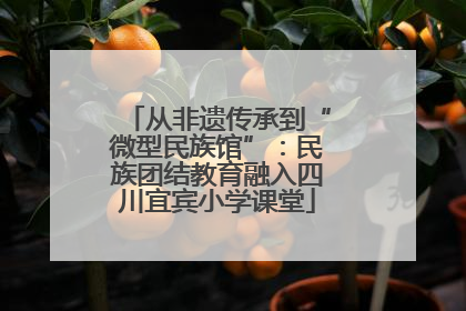 从非遗传承到“微型民族馆”：民族团结教育融入四川宜宾小学课堂