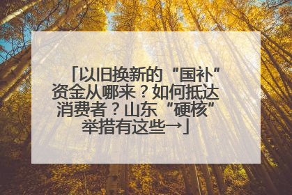以旧换新的“国补”资金从哪来？如何抵达消费者？山东“硬核”举措有这些→