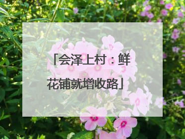 会泽上村：鲜花铺就增收路