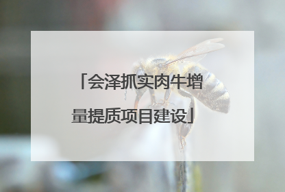 会泽抓实肉牛增量提质项目建设