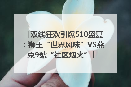 双线狂欢引爆510盛夏：狮王“世界风味”VS燕京9號“社区烟火”