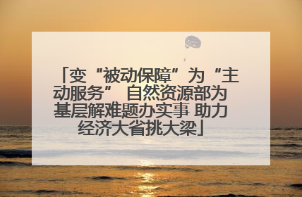变“被动保障”为“主动服务” 自然资源部为基层解难题办实事 助力经济大省挑大梁