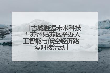 古城邂逅未来科技！苏州姑苏区举办人工智能与低空经济路演对接活动
