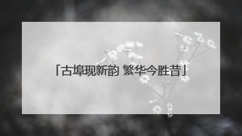 古埠现新韵 繁华今胜昔