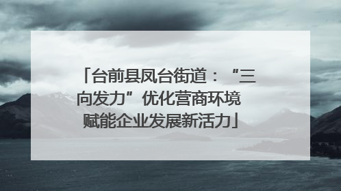 台前县凤台街道：“三向发力”优化营商环境 赋能企业发展新活力