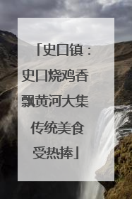 史口镇：史口烧鸡香飘黄河大集 传统美食受热捧