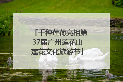 千种莲荷亮相第37届广州莲花山莲花文化旅游节