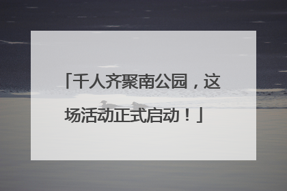 千人齐聚南公园，这场活动正式启动！