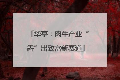 华亭：肉牛产业“犇”出致富新赛道
