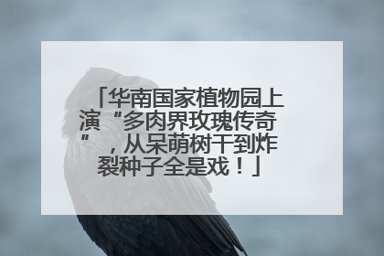 华南国家植物园上演“多肉界玫瑰传奇”，从呆萌树干到炸裂种子全是戏！