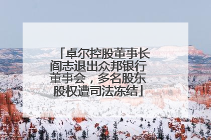 卓尔控股董事长阎志退出众邦银行董事会，多名股东股权遭司法冻结