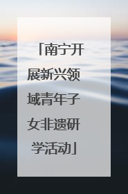 南宁开展新兴领域青年子女非遗研学活动