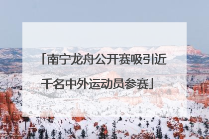 南宁龙舟公开赛吸引近千名中外运动员参赛