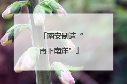 南安制造“再下南洋”