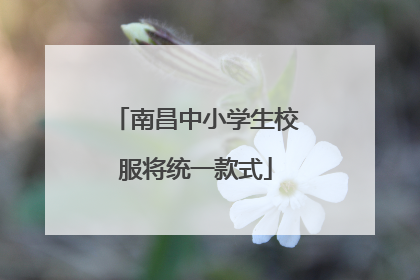 南昌中小学生校服将统一款式