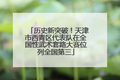历史新突破！天津市西青区代表队在全国性武术套路大赛位列全国第三