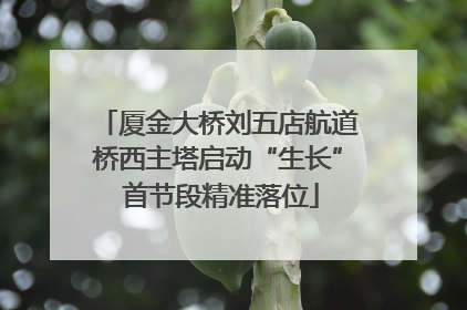 厦金大桥刘五店航道桥西主塔启动“生长” 首节段精准落位
