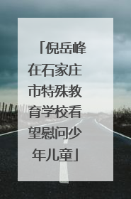倪岳峰在石家庄市特殊教育学校看望慰问少年儿童