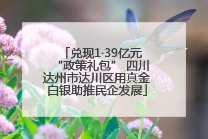 兑现1·39亿元“政策礼包” 四川达州市达川区用真金白银助推民企发展