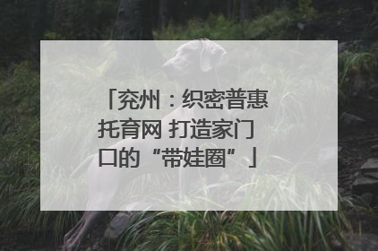 兖州：织密普惠托育网 打造家门口的“带娃圈”