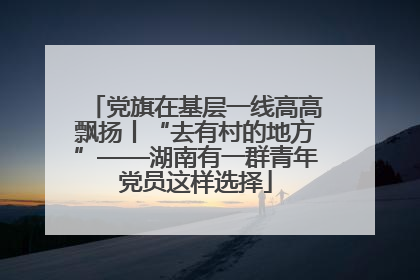党旗在基层一线高高飘扬丨“去有村的地方”——湖南有一群青年党员这样选择