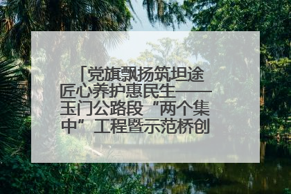 党旗飘扬筑坦途 匠心养护惠民生——玉门公路段“两个集中”工程暨示范桥创建项目圆满收官