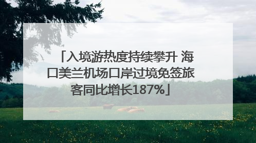 入境游热度持续攀升 海口美兰机场口岸过境免签旅客同比增长187%