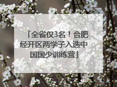 全省仅3名！合肥经开区两学子入选中国国少训练营
