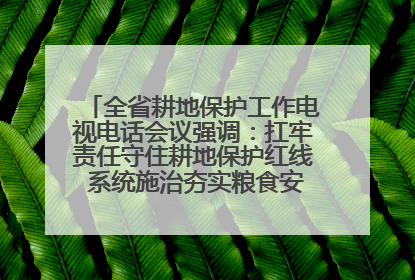 全省耕地保护工作电视电话会议强调：扛牢责任守住耕地保护红线 系统施治夯实粮食安全根基 王宁作出批示 王予波出席并讲话