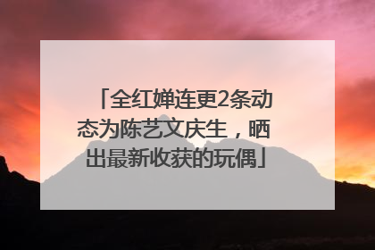 全红婵连更2条动态为陈艺文庆生，晒出最新收获的玩偶