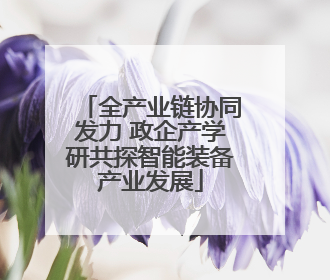 全产业链协同发力 政企产学研共探智能装备产业发展