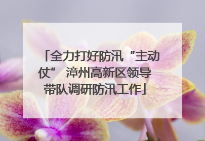 全力打好防汛“主动仗” 漳州高新区领导带队调研防汛工作