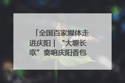 全国百家媒体走进庆阳｜“大塬长歌”奏响庆阳香包民俗文化节序曲