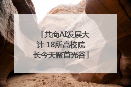 共商AI发展大计 18所高校院长今天聚首光谷