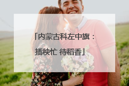 内蒙古科左中旗：插秧忙 待稻香