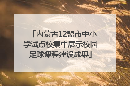内蒙古12盟市中小学试点校集中展示校园足球课程建设成果