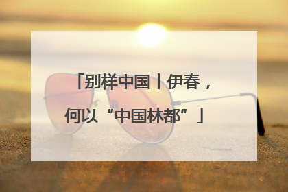 别样中国丨伊春，何以“中国林都”