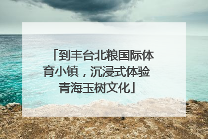 到丰台北粮国际体育小镇，沉浸式体验青海玉树文化