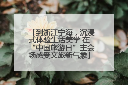 到浙江宁海，沉浸式体验生活美学 在“中国旅游日”主会场感受文旅新气象