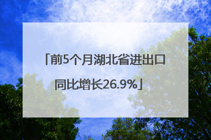 前5个月湖北省进出口同比增长26.9%