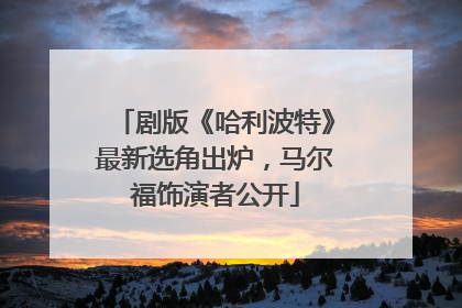 剧版《哈利波特》最新选角出炉，马尔福饰演者公开