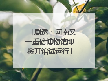 剧透：河南又一重磅博物馆即将开馆试运行
