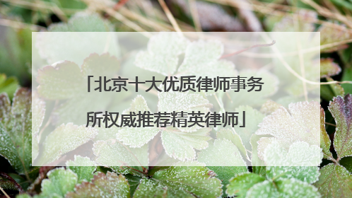 北京十大优质律师事务所权威推荐精英律师
