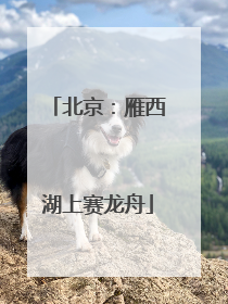 北京：雁西湖上赛龙舟