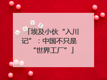 埃及小伙“入川记”：中国不只是“世界工厂”
