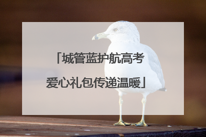 城管蓝护航高考 爱心礼包传递温暖