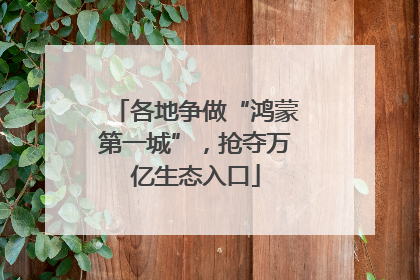 各地争做“鸿蒙第一城”，抢夺万亿生态入口