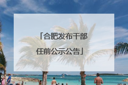 合肥发布干部任前公示公告
