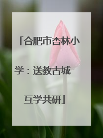 合肥市杏林小学：送教古城 互学共研